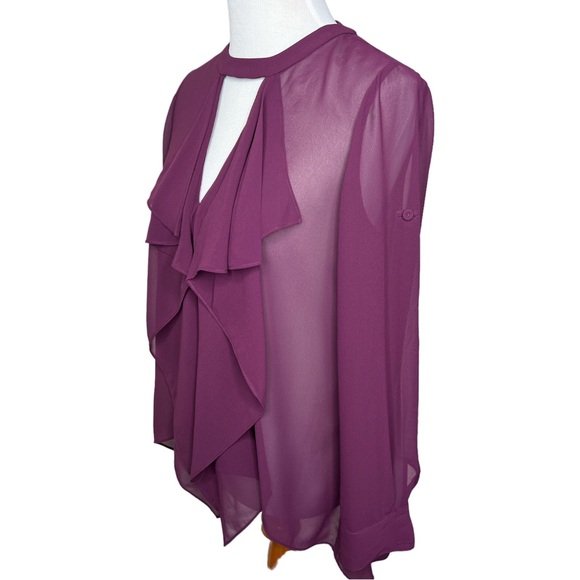 BCBG Maxazaria Enja Blouse Ruffle Sheer Feminine Flowy Wine Deep Port Wedding XS - Picture 5 of 10